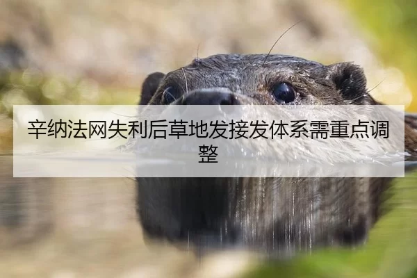辛纳法网失利后草地发接发体系需重点调整